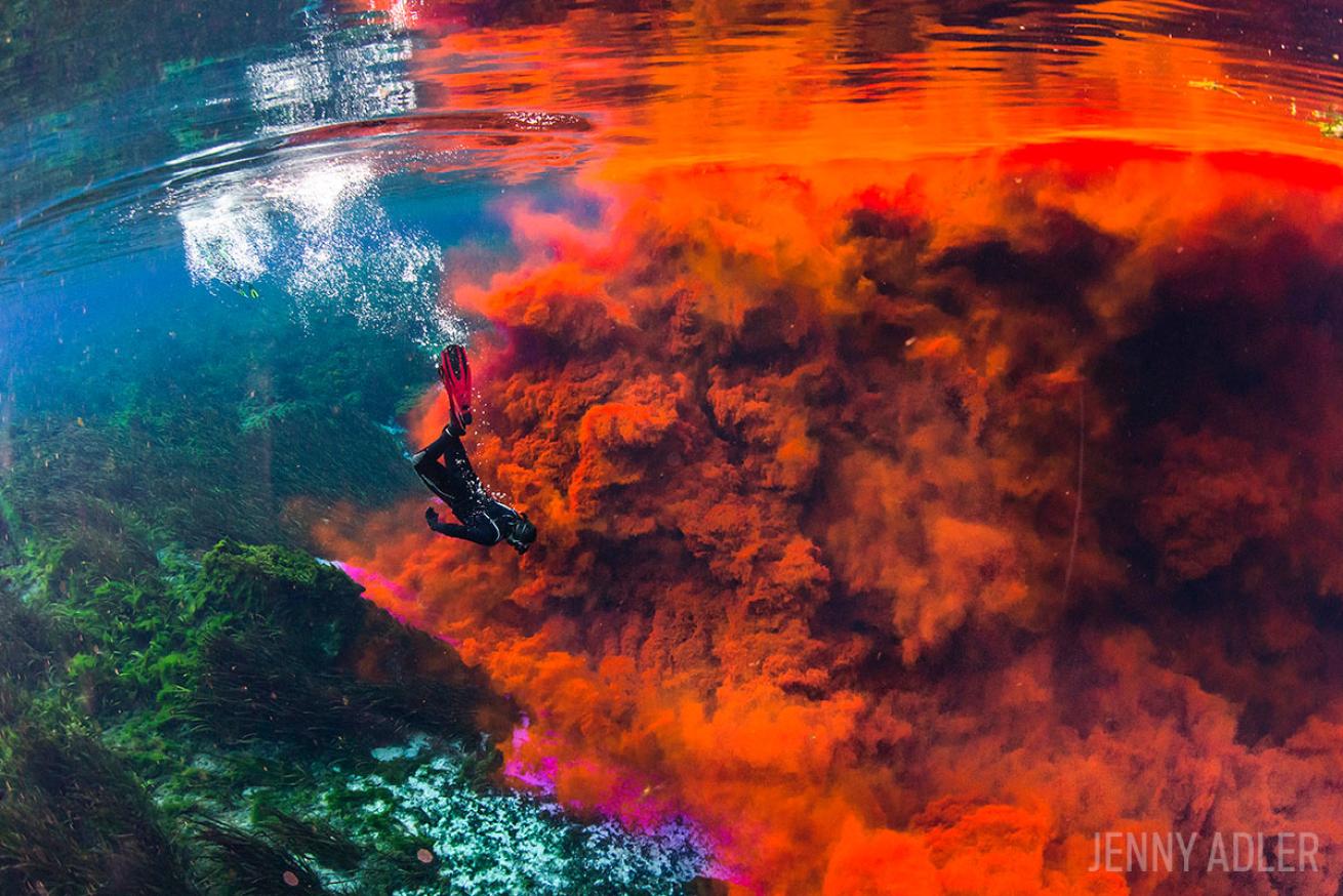 Diving in Dye Florida Spring