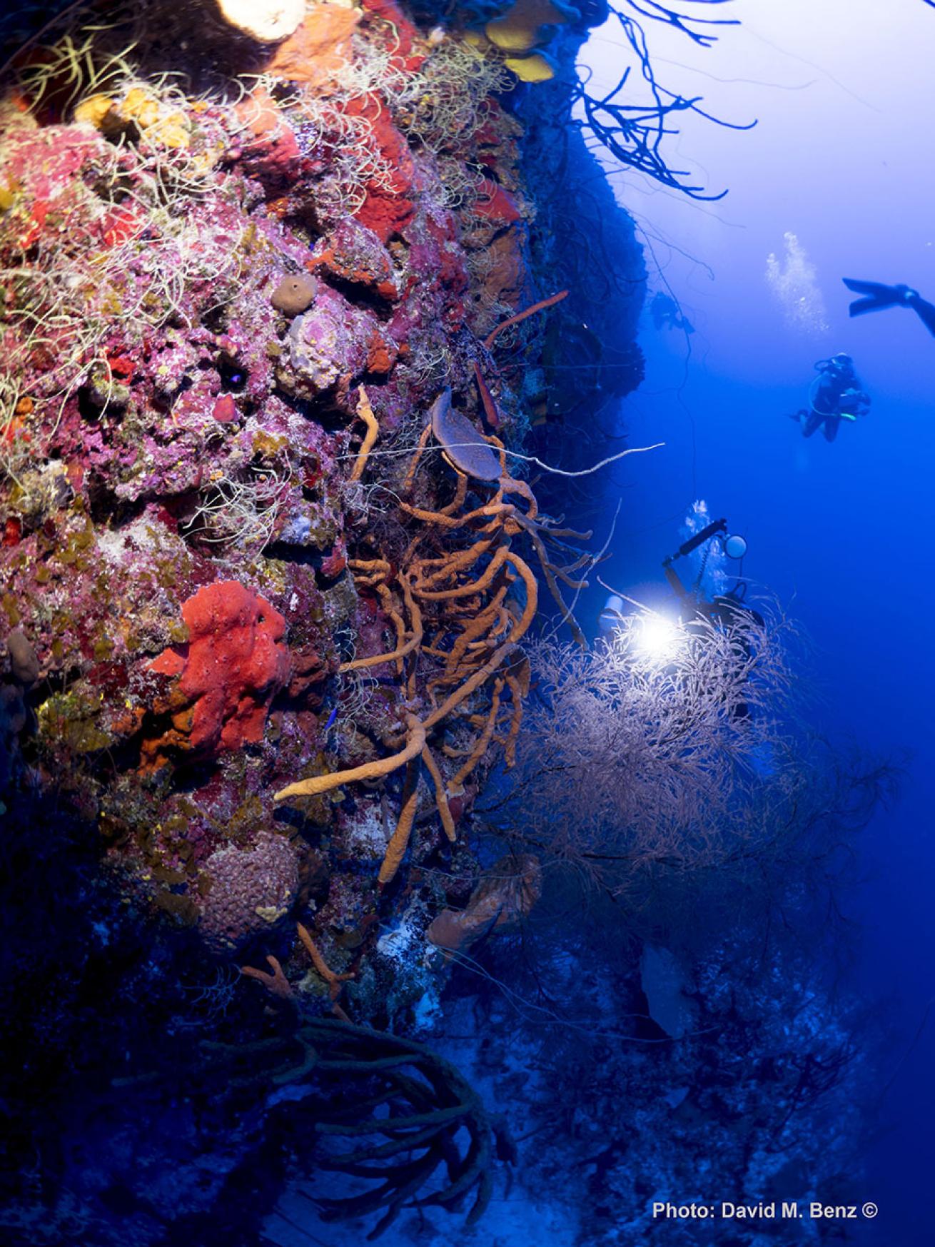 cuba isle of youth scuba diving