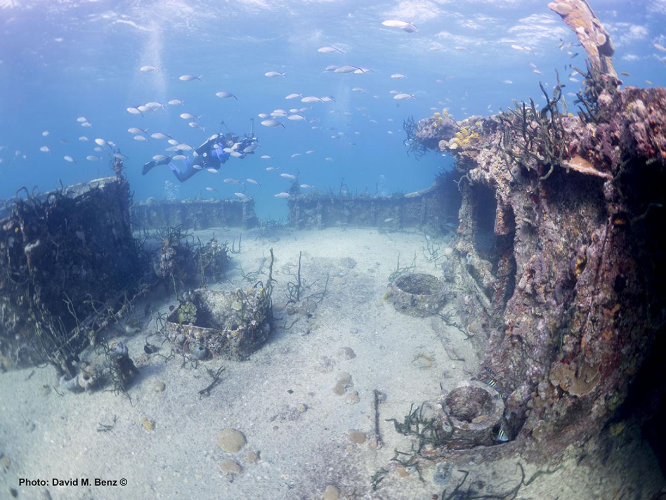 cuba isle of youth scuba diving