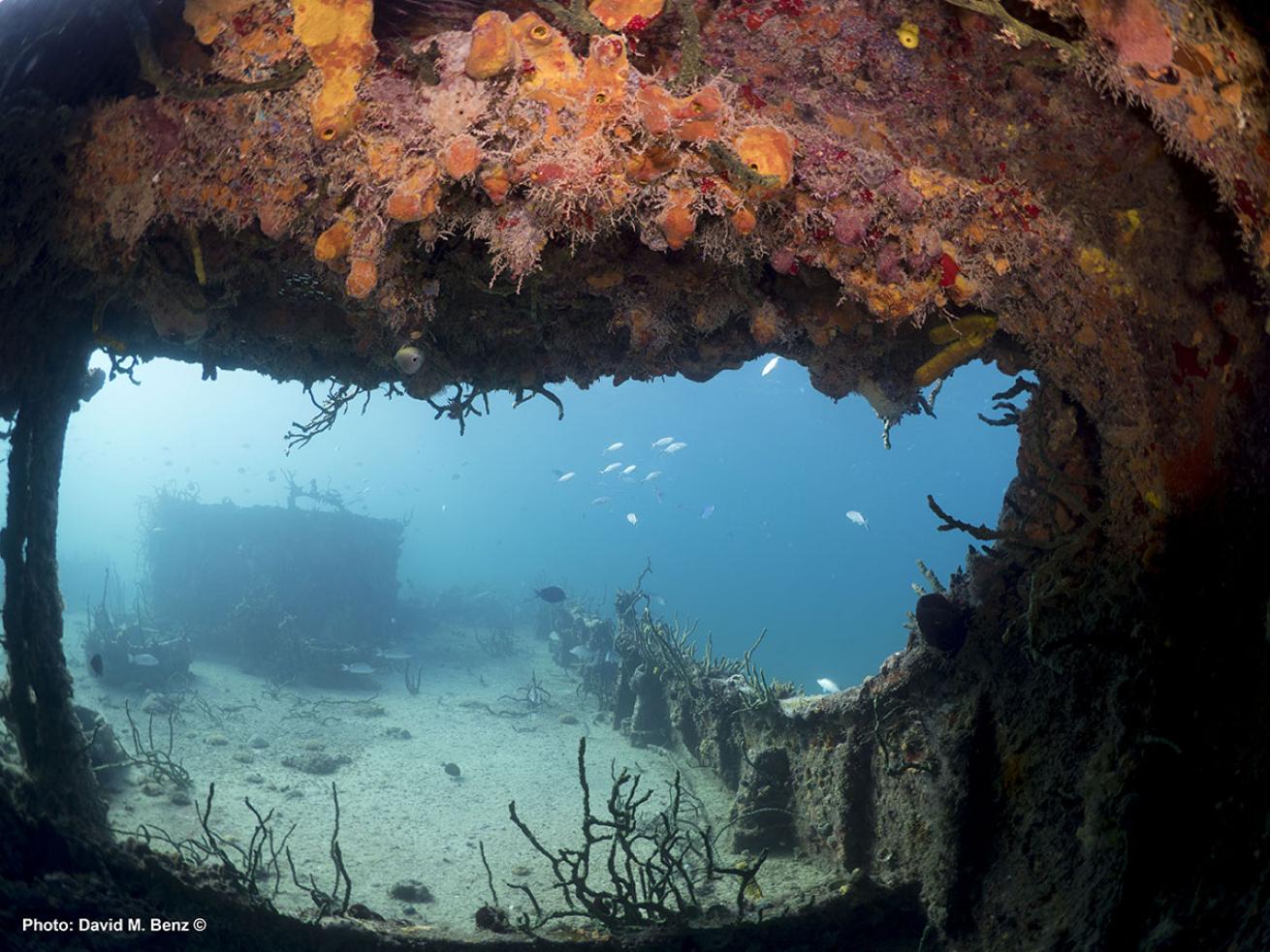 cuba isle of youth scuba diving