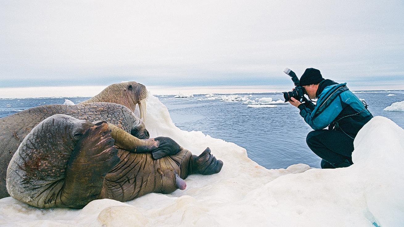 Paul Nicklen/National Geographic Creative