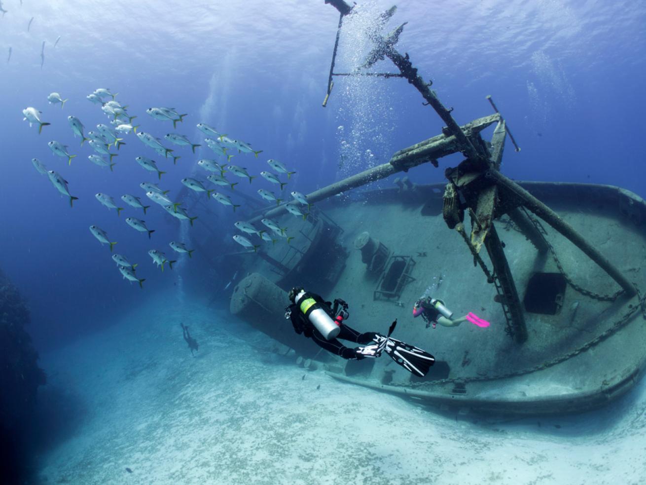 Diving Kittiwake wreck