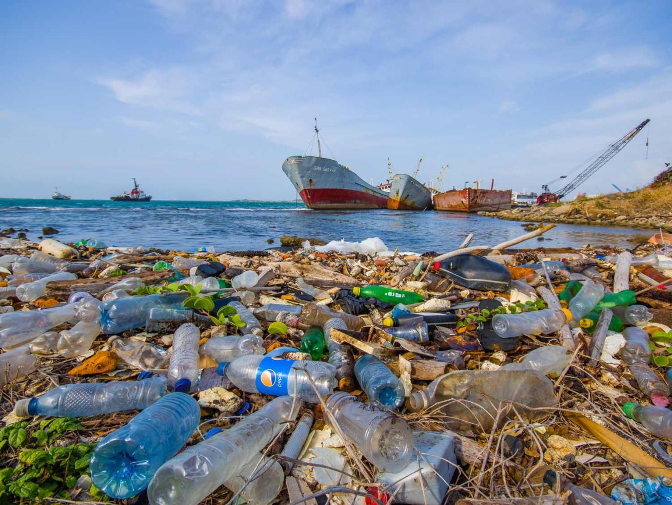 Debris washed ashore next to the Panama Canal