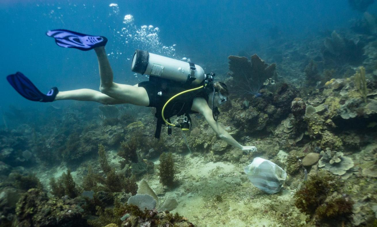 A diver collects a plastic bag on a coral reef