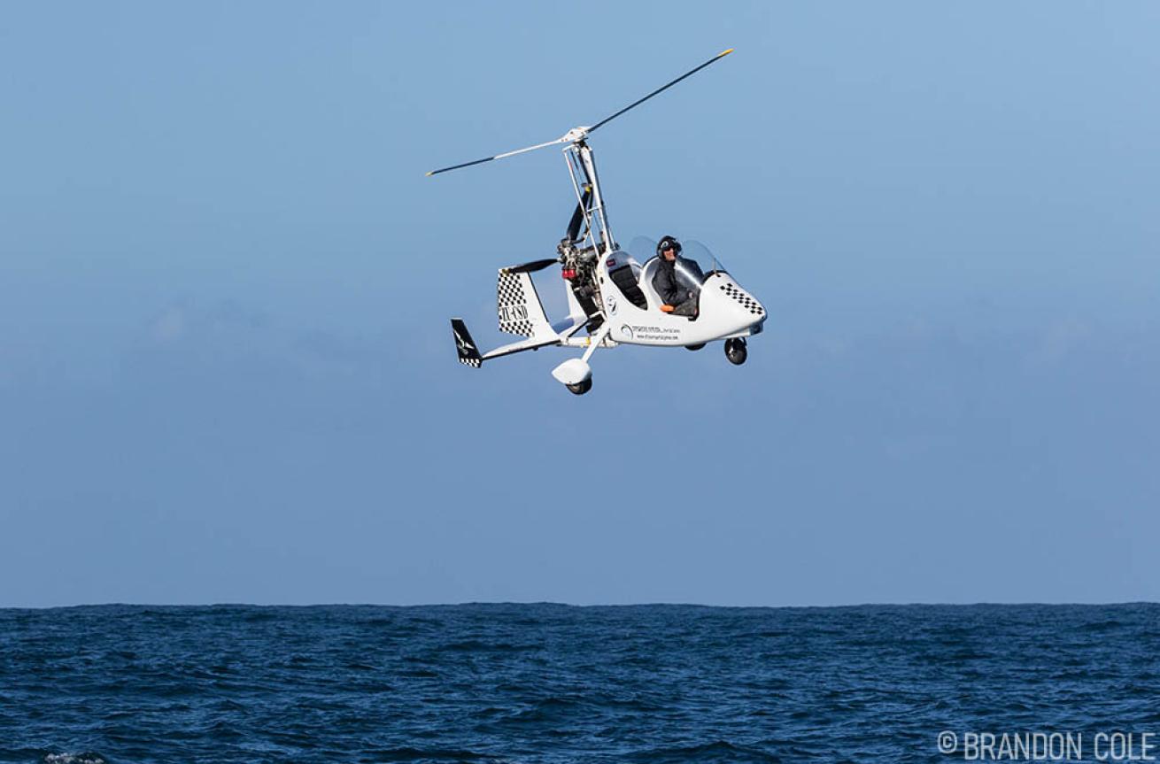 Sardine Run South Africa Gyrocopter
