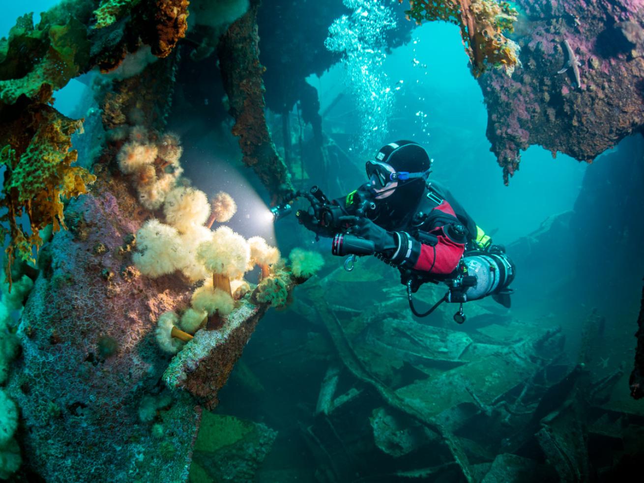 Scuba Diver and Underwater Torpedo in Eastern Canada 