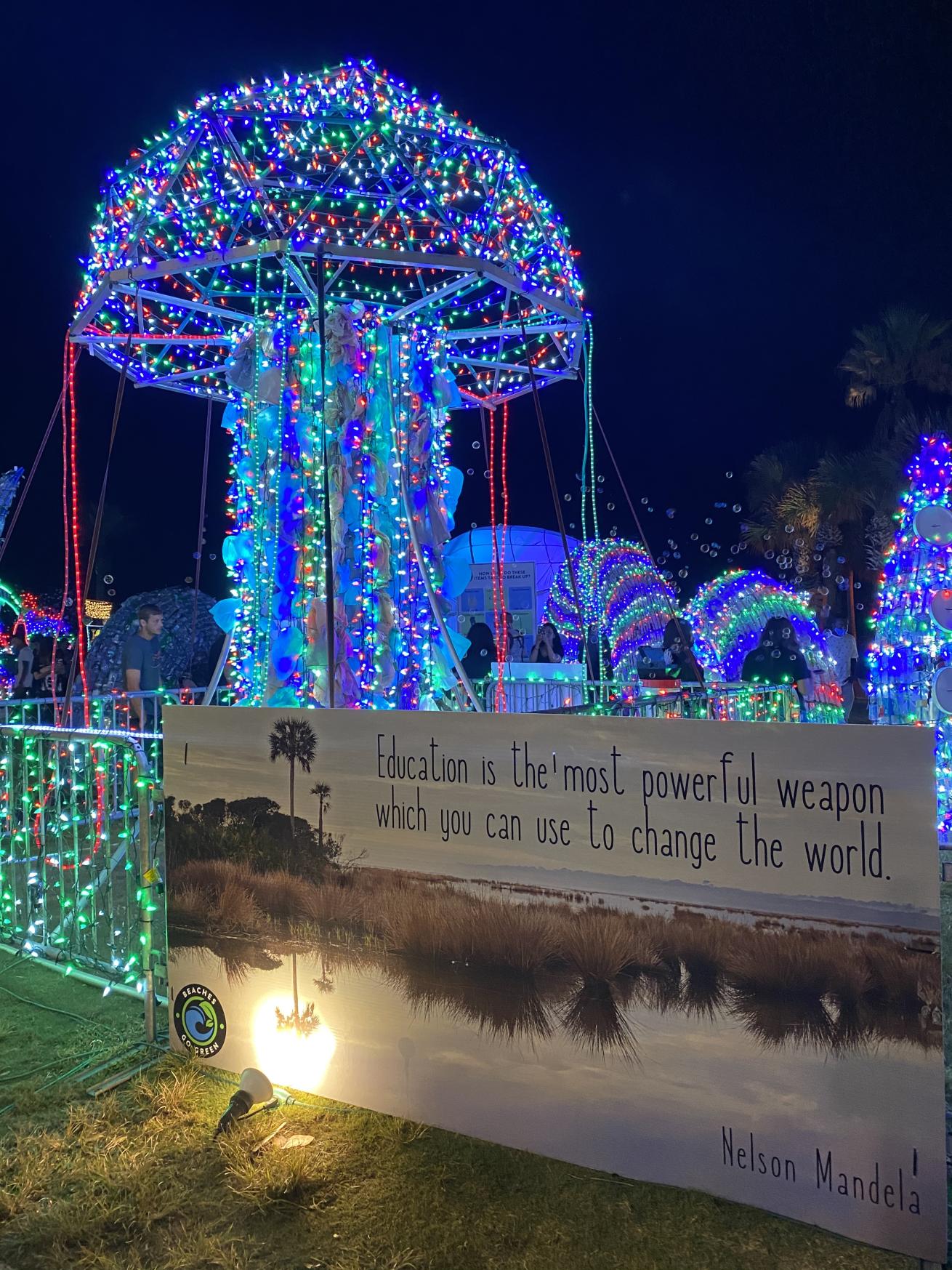 Jellyfish Lighted Holiday Display 