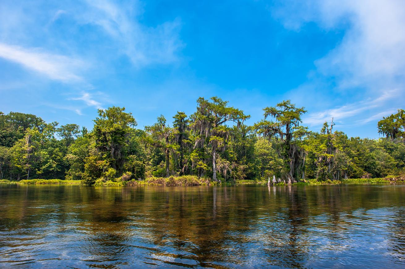 wakulla springs