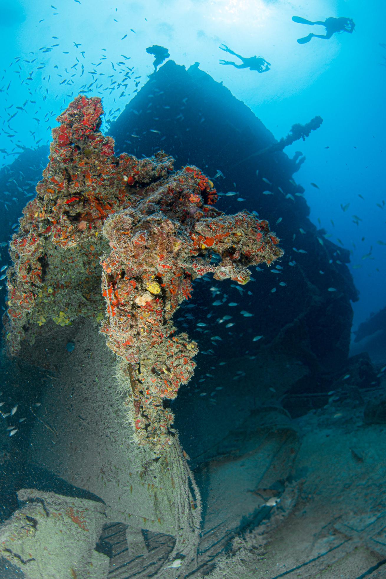 Scuba Divers on the Eagle Shipwreck 