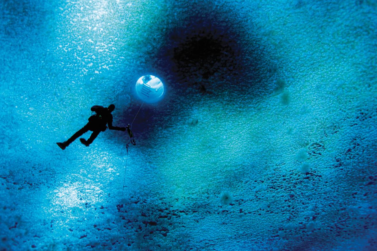 Ross Sea Diver at Turtle Rock