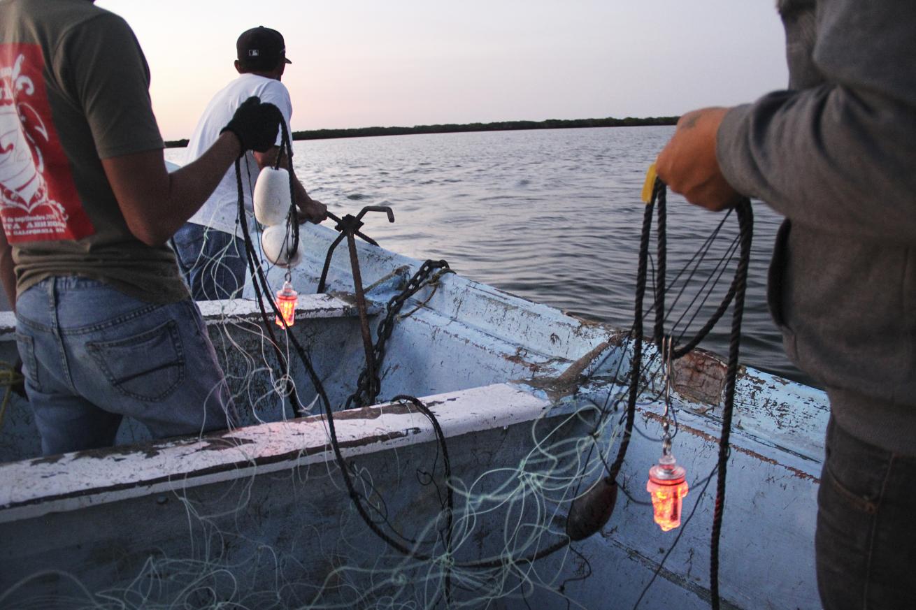 BanishingBycatch.LEDLights.August2021.ScubaDivingMagazine