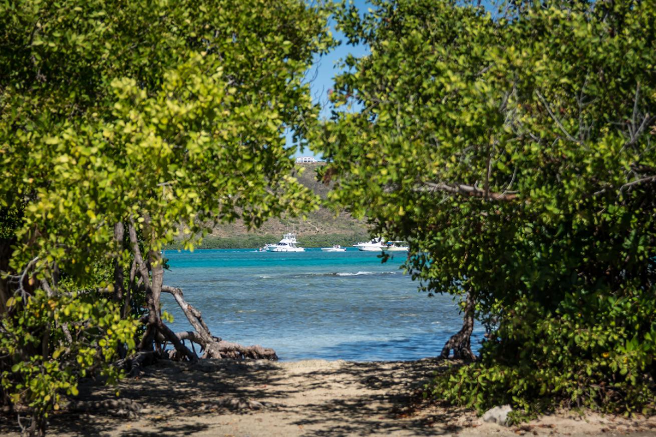 Isla de la Mona, Puerto Rico