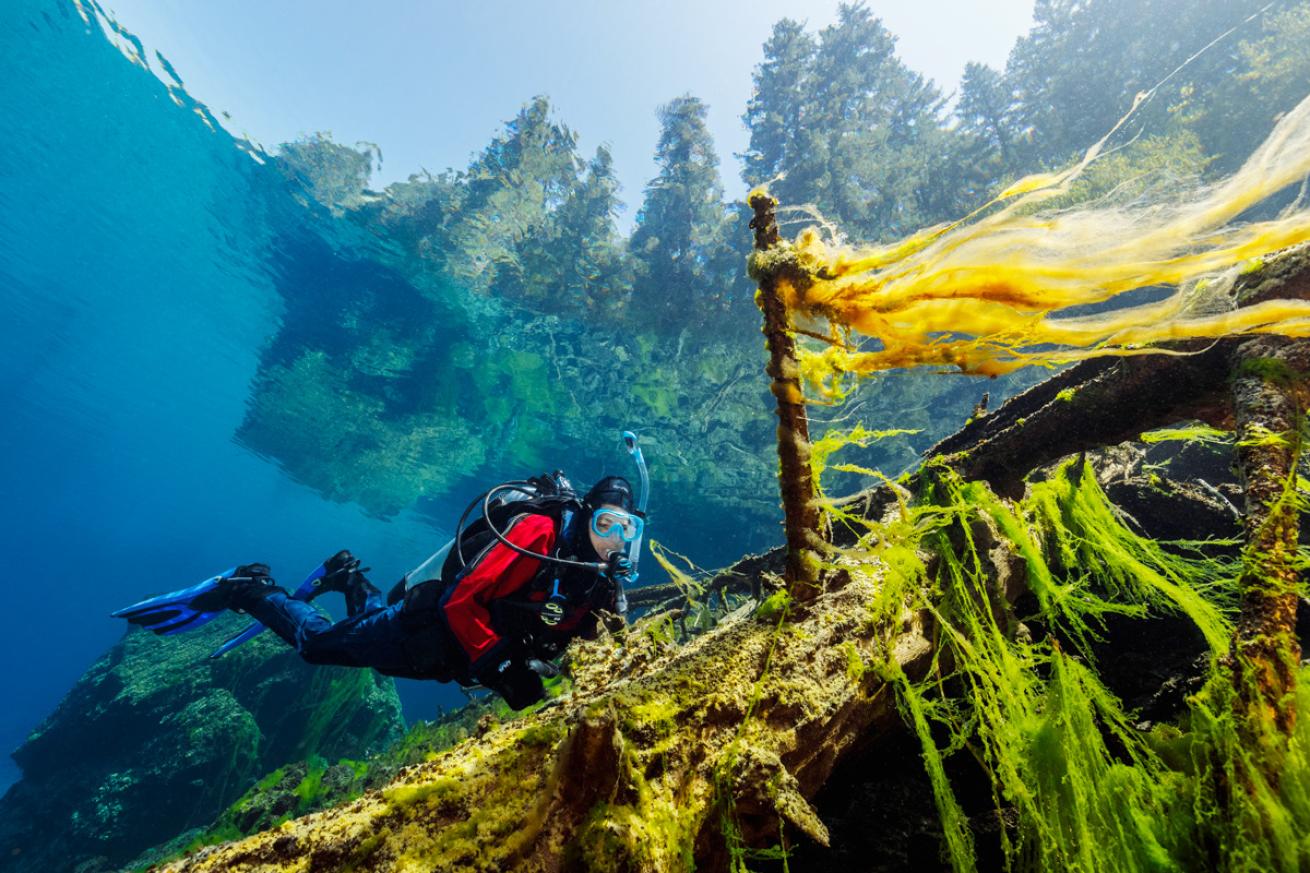 oregon.mossywreck.brandoncole.scubadivingmagazine2022