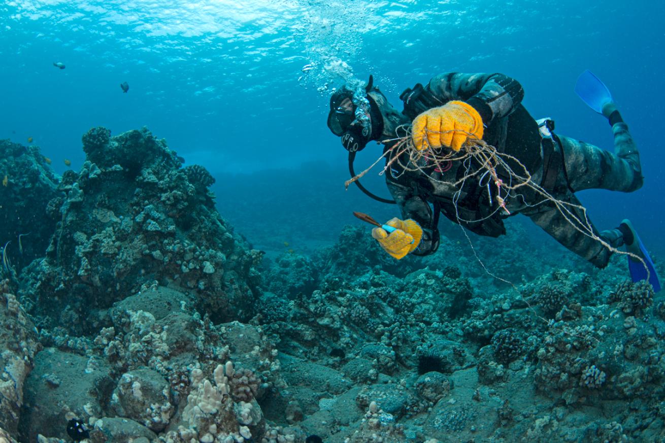 Diving Status - Underwater hull cleaning - For every vessel rope