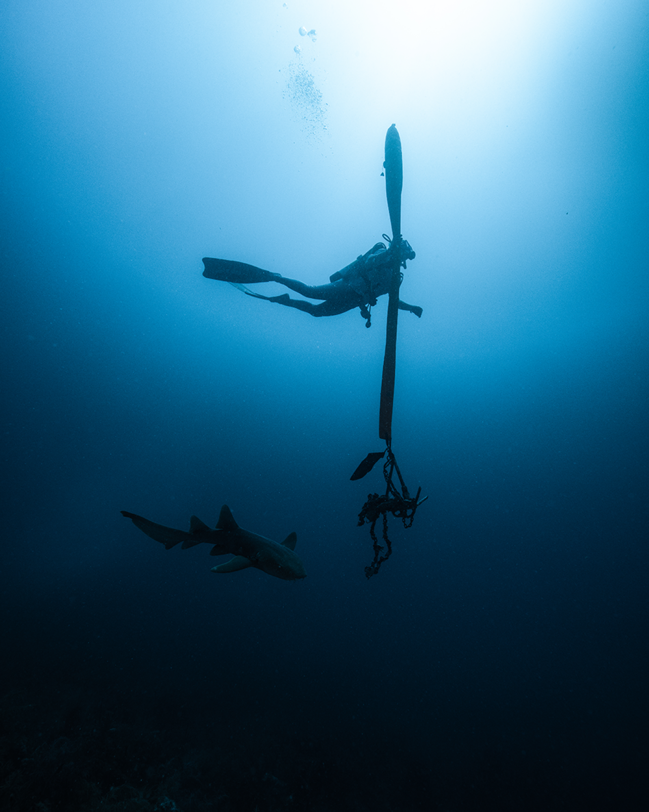 Diver clean up debris in the ocean.