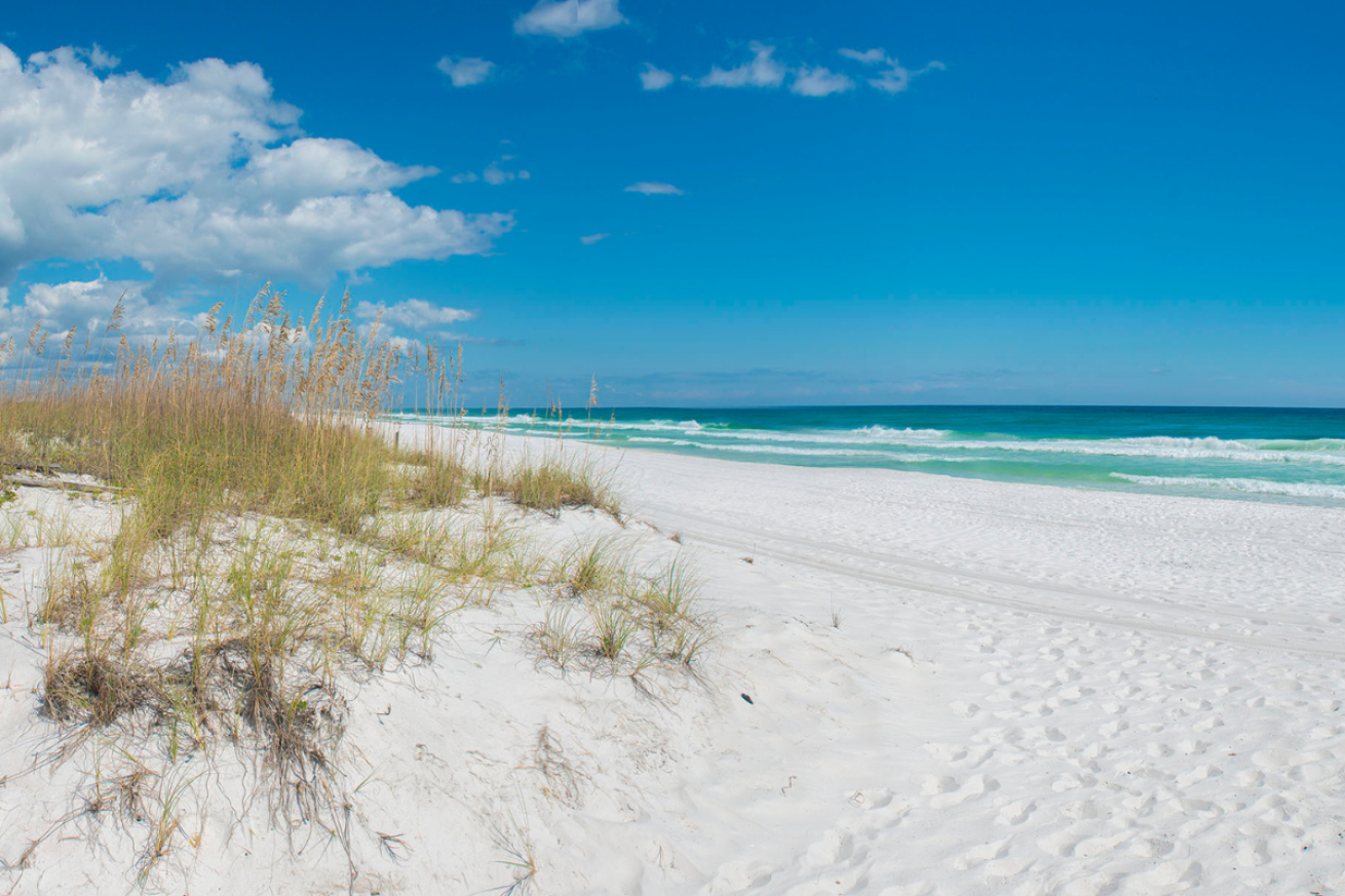 Grass dunes and white sand beach