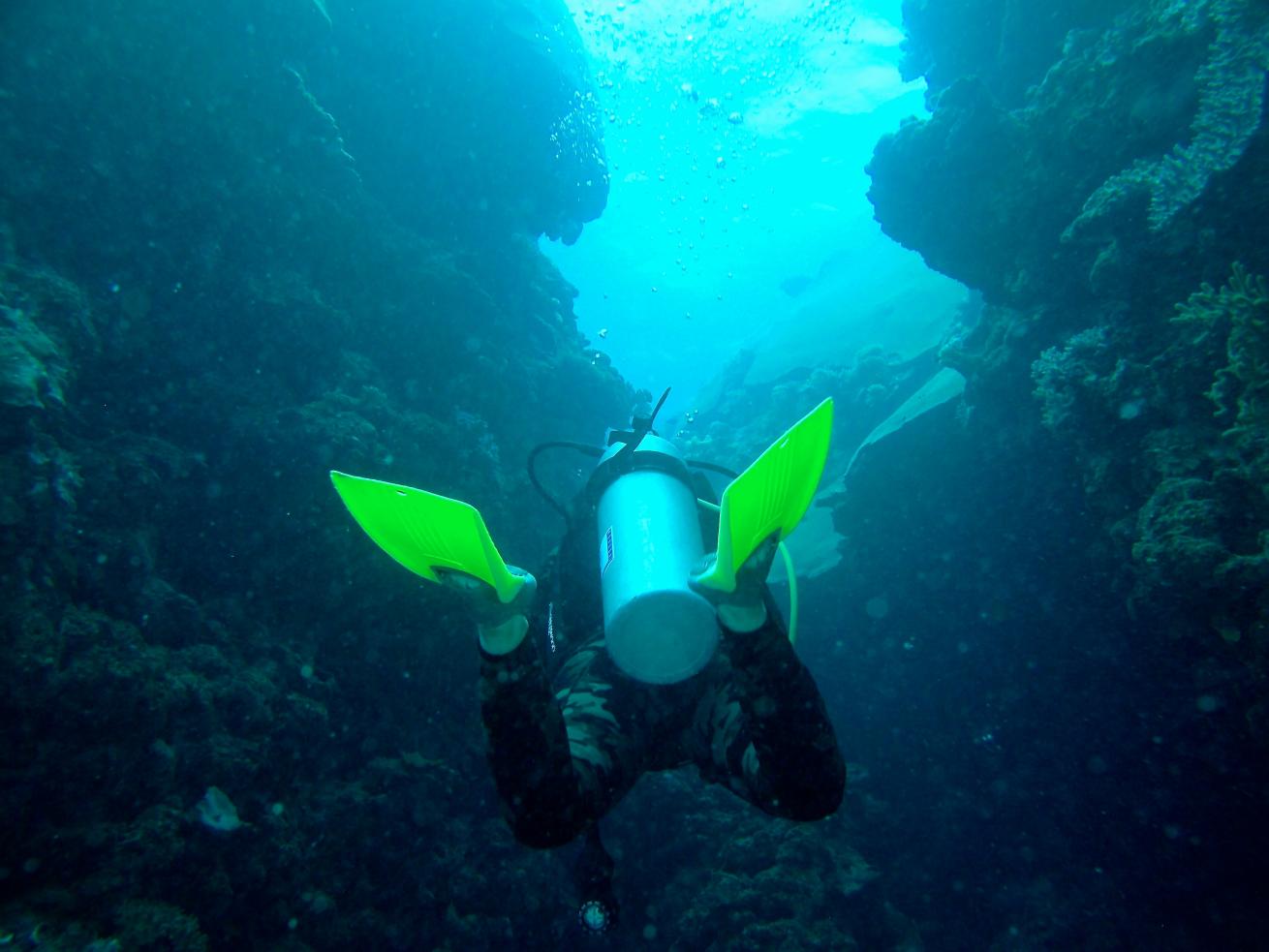 A diver explores underwater in Fiji