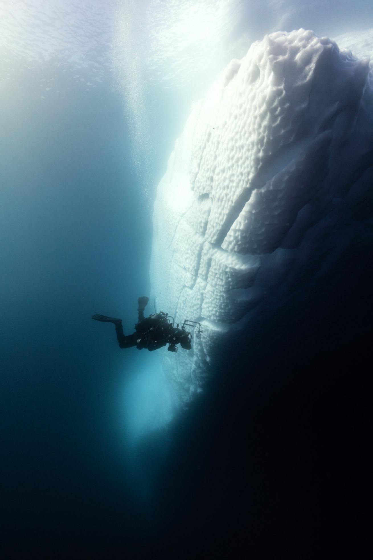 Photographer Ian Segebarth films a ctenophore at the edge of an iceberg at Portal Point, Antarctica.