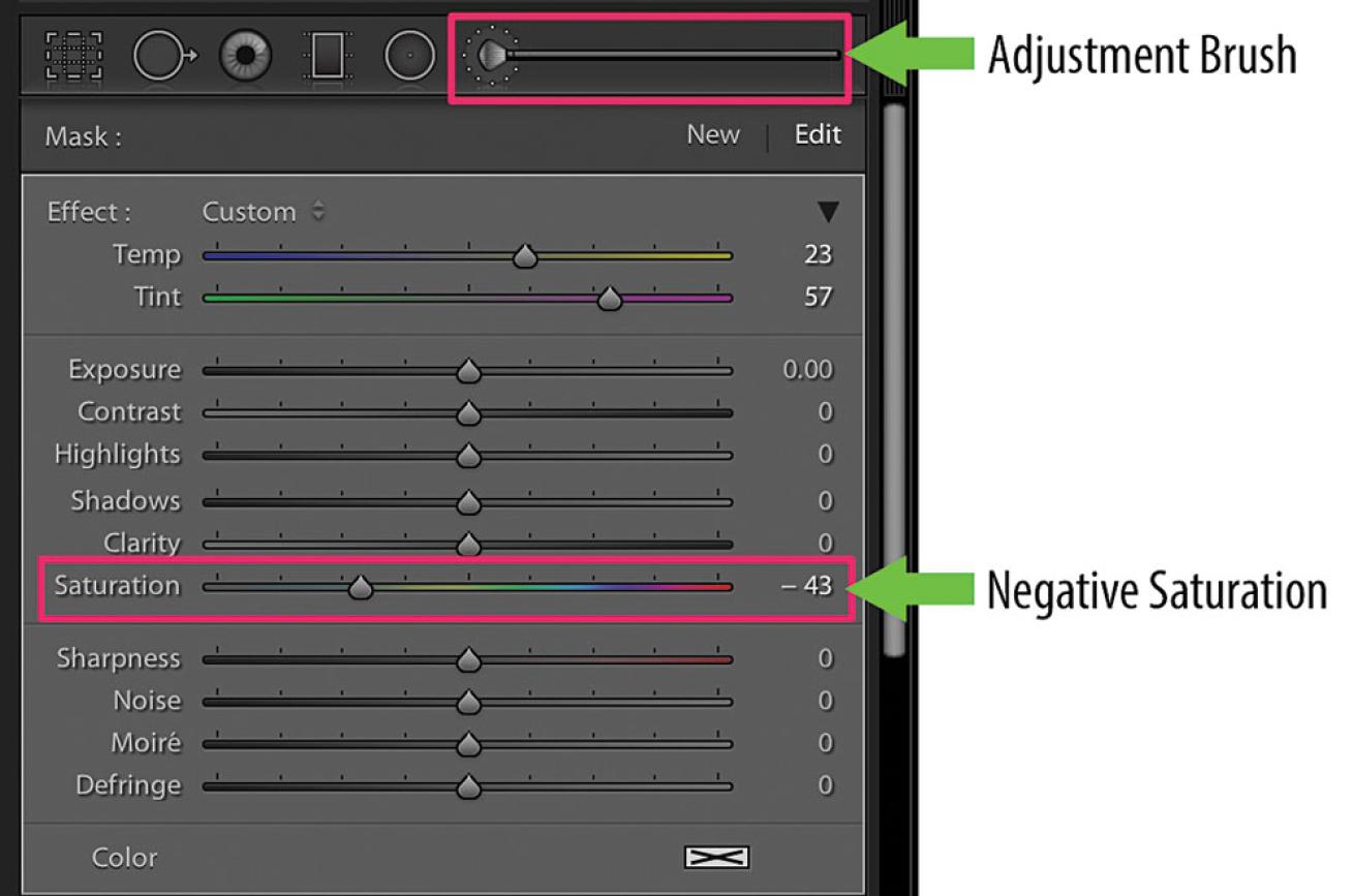 Using the Adjustment Brush and Negative Saturation Panel in Lightroom
