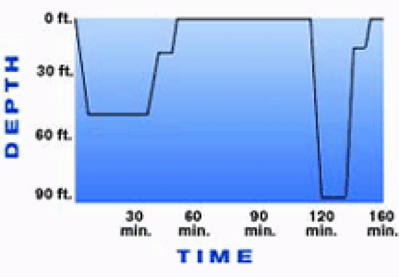 dive profile illo