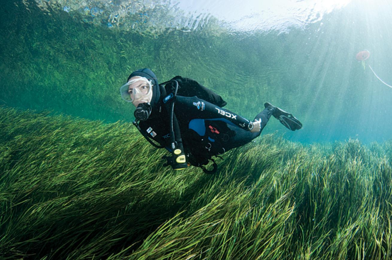 Scuba diving Florida's freshwater Rainbow River in Dunnellon