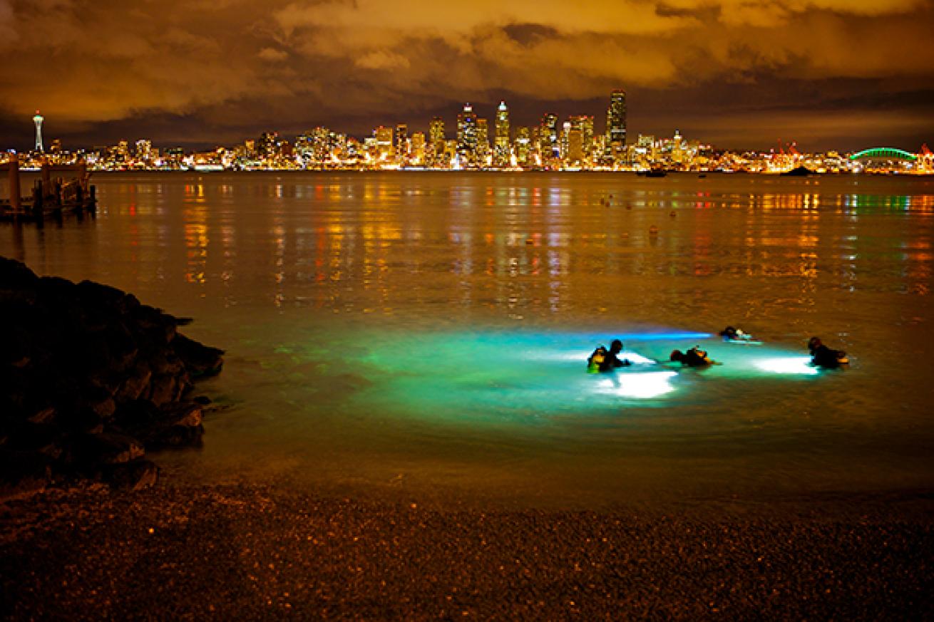 Seattle's Alki Beach