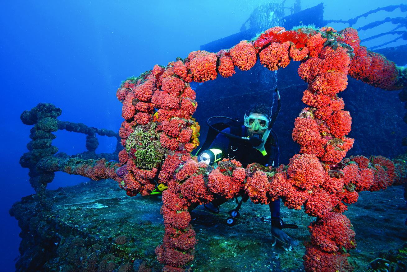 scuba diving national marine sanctuaries 