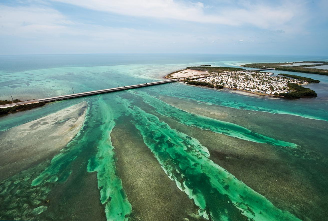 scuba diving the florida keys 