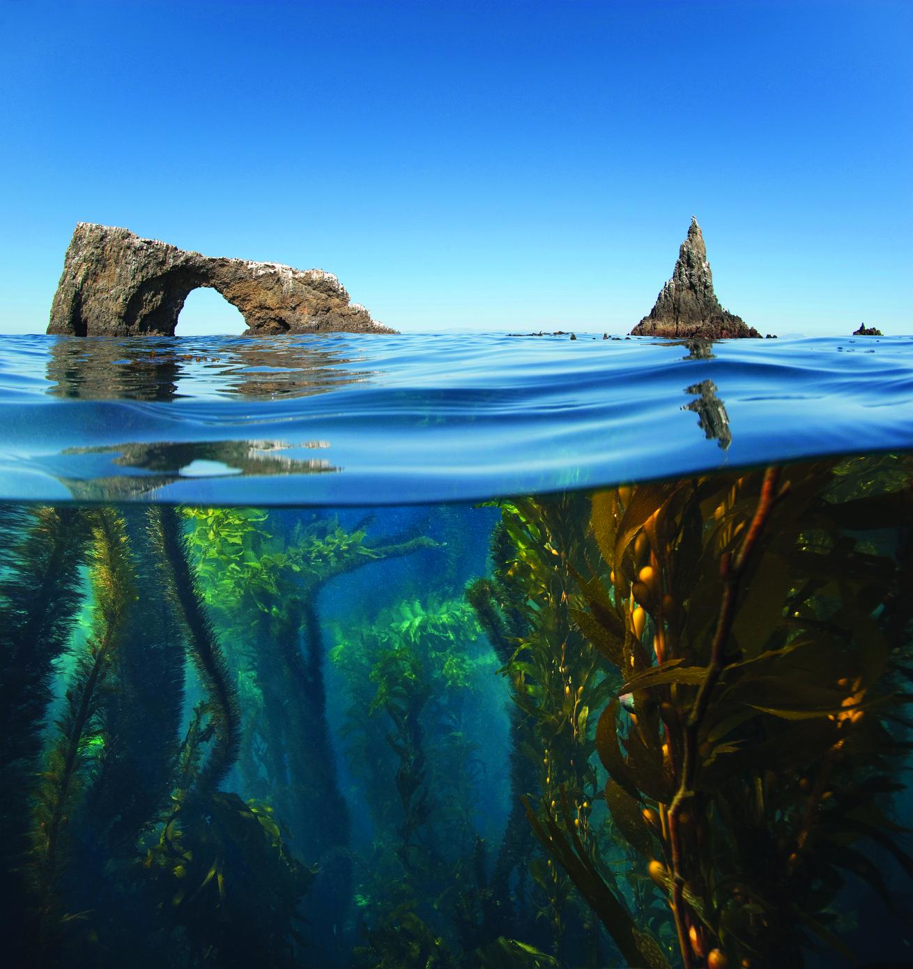 scuba diving National Parks