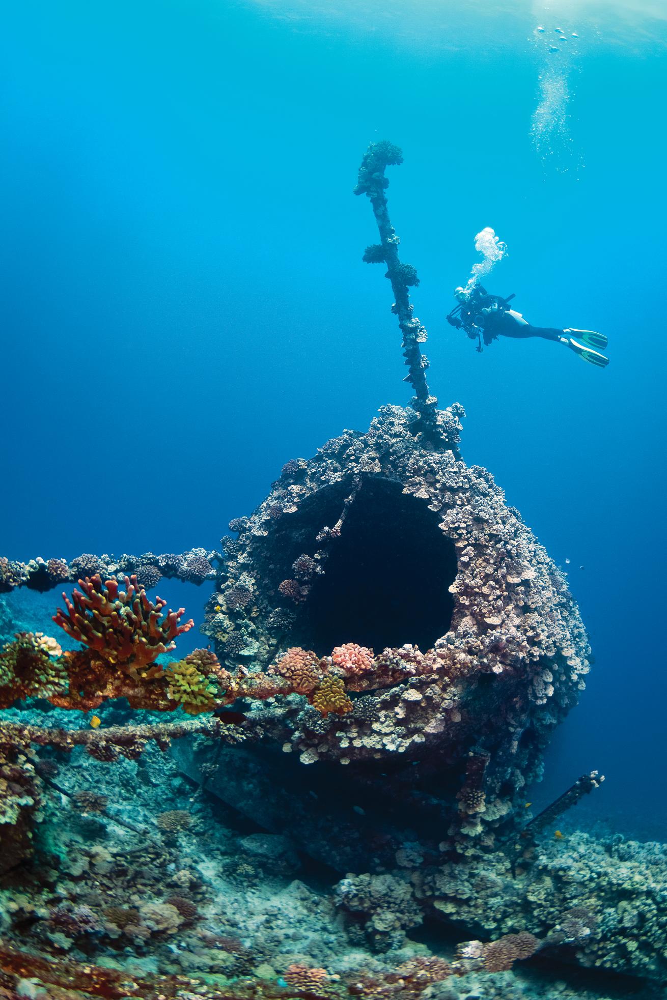 best scuba diving destinations for visibility 