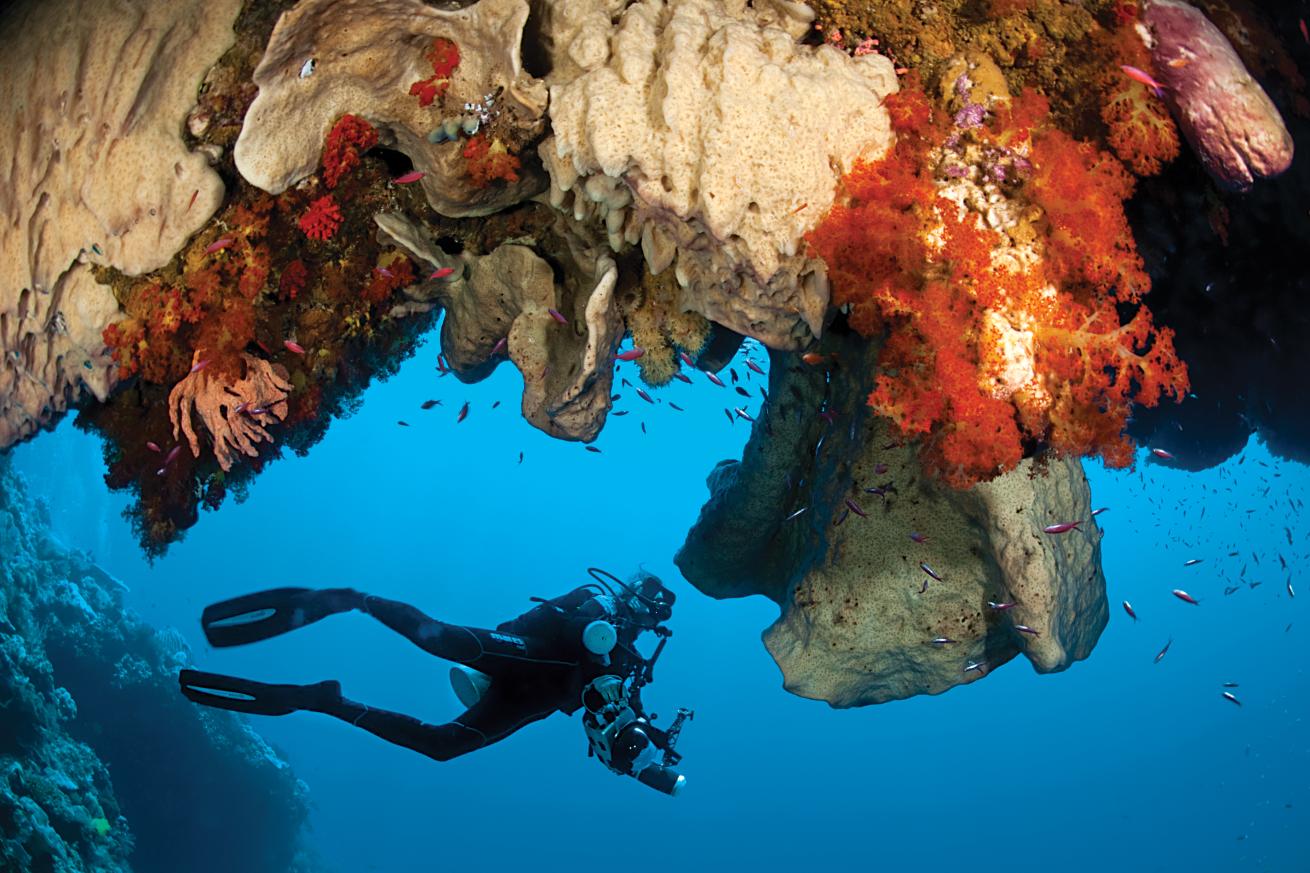 best scuba diving destinations 