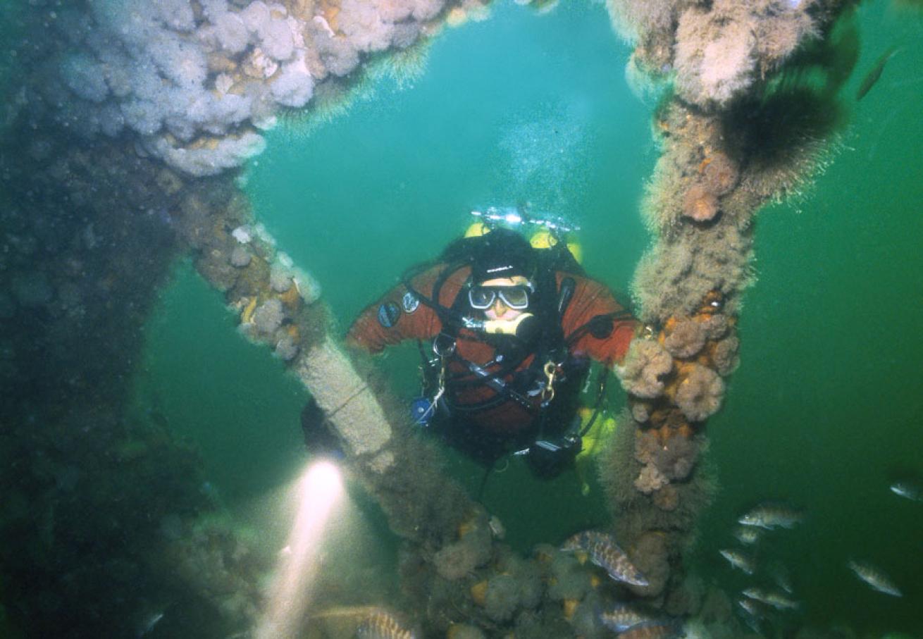 Scuba Diving new york wrecks