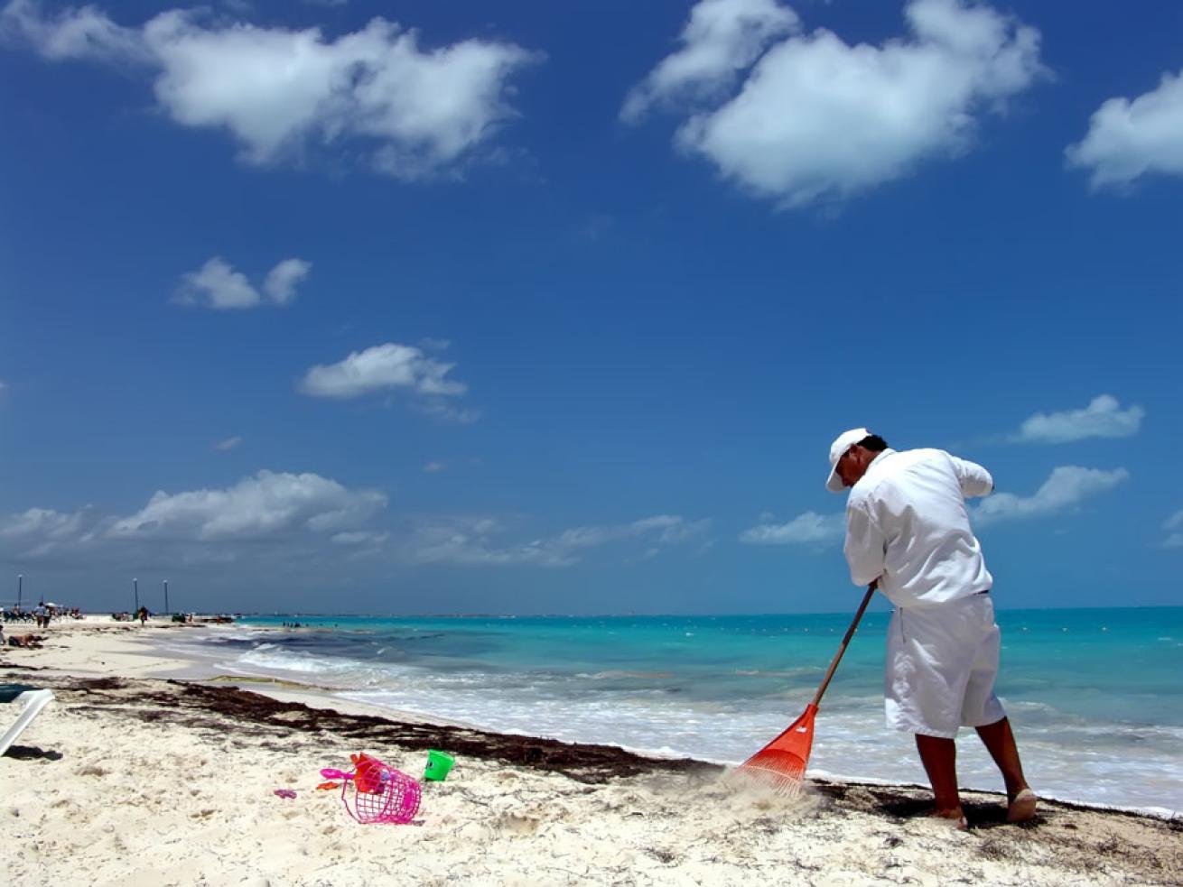 beach cleanup