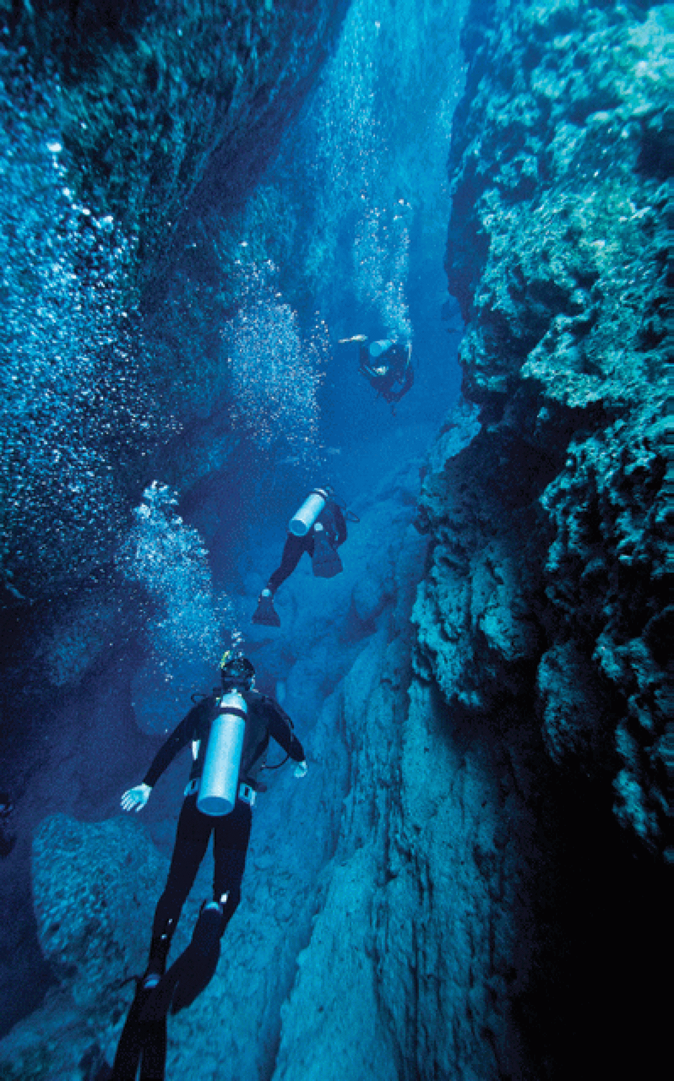 scuba diving blue holes in bahamas 