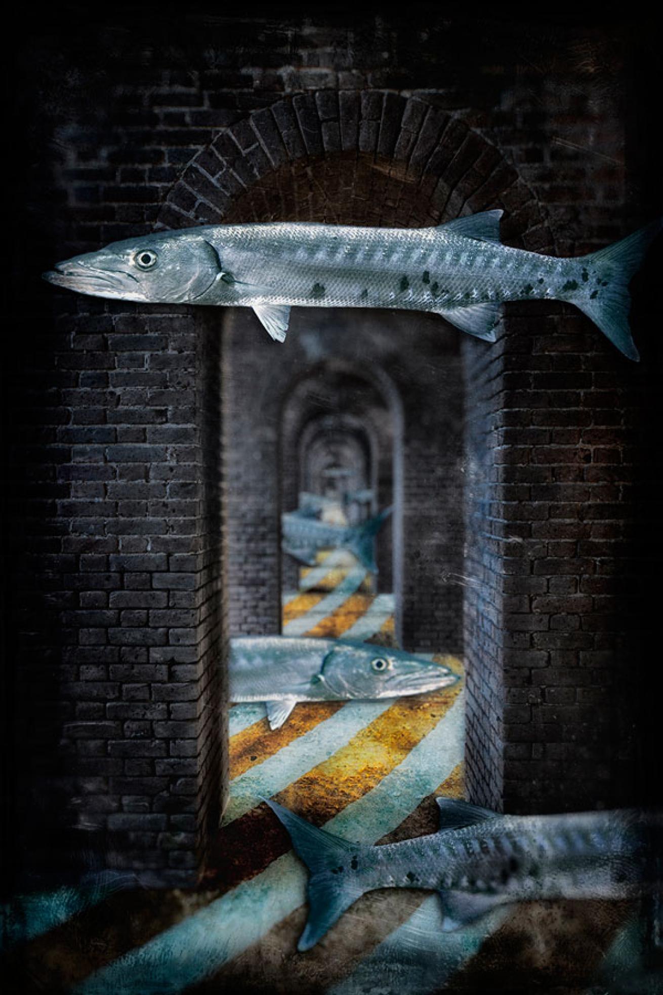 underwater conceptual photography