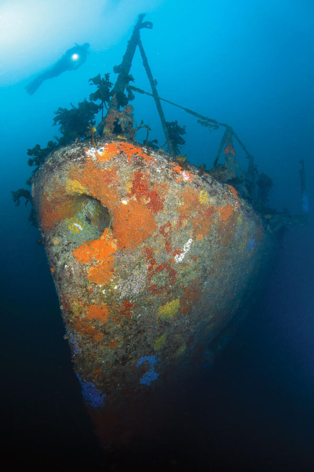 scuba diving shipwrecks in new zealand 