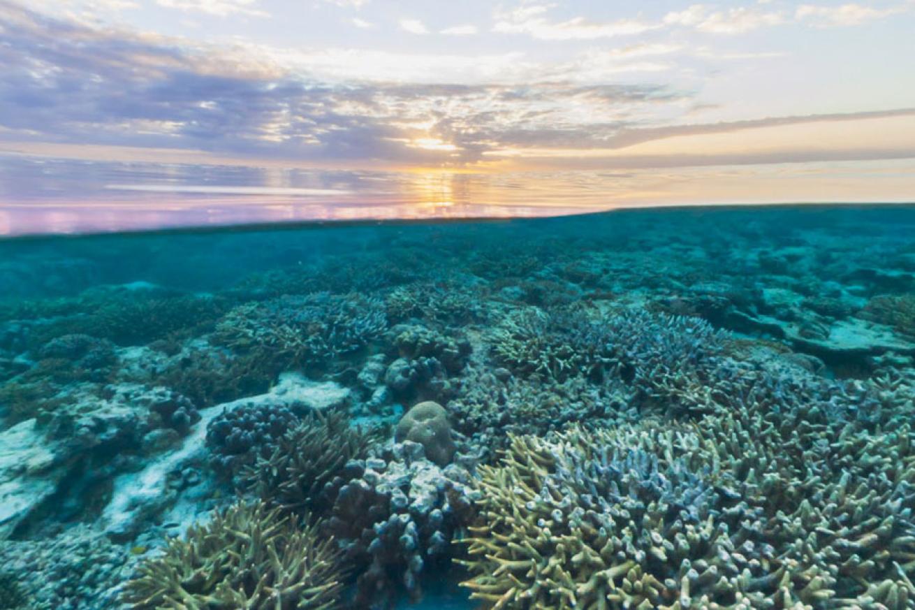 The Great Barrier Reef, Australia