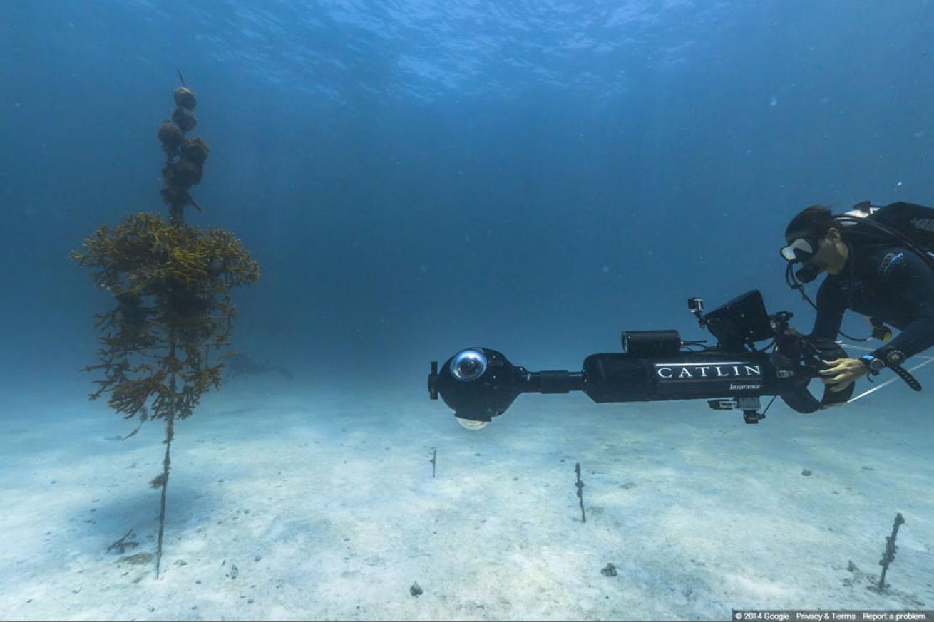 Coral Restoration Nursery