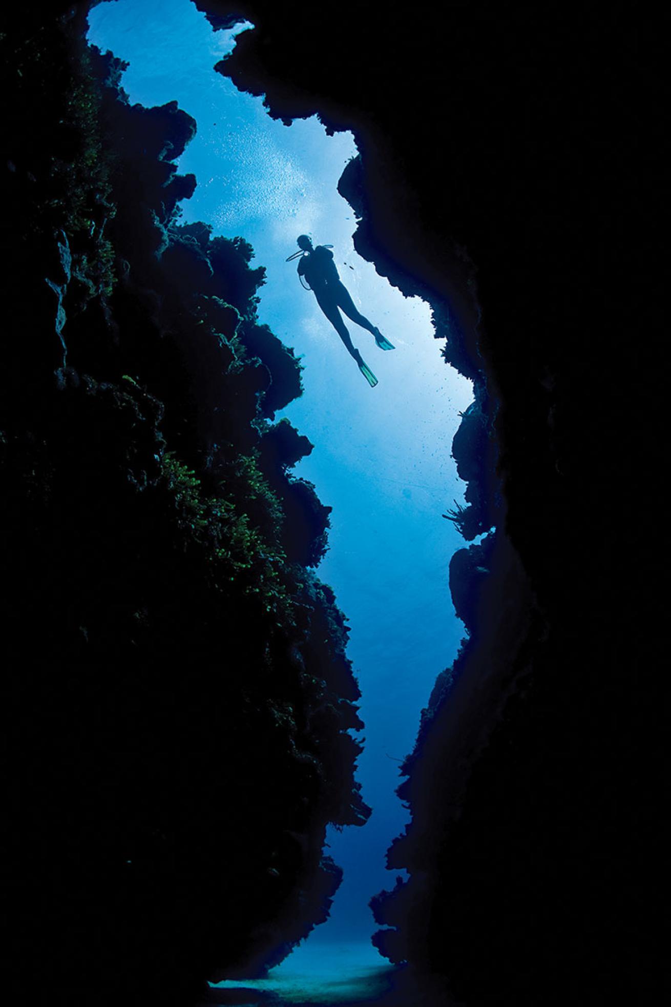 scuba diving cayman islands