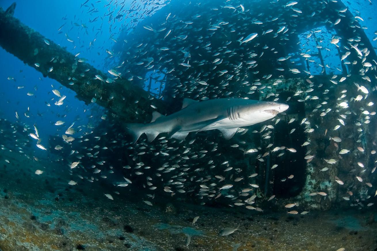 scuba diving north carolina