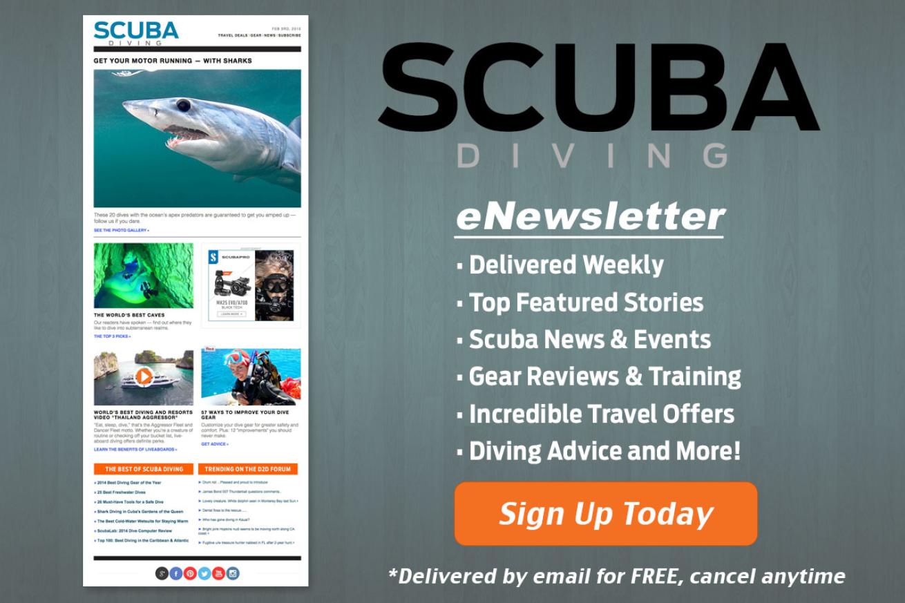 scuba diving newsletter sign up 