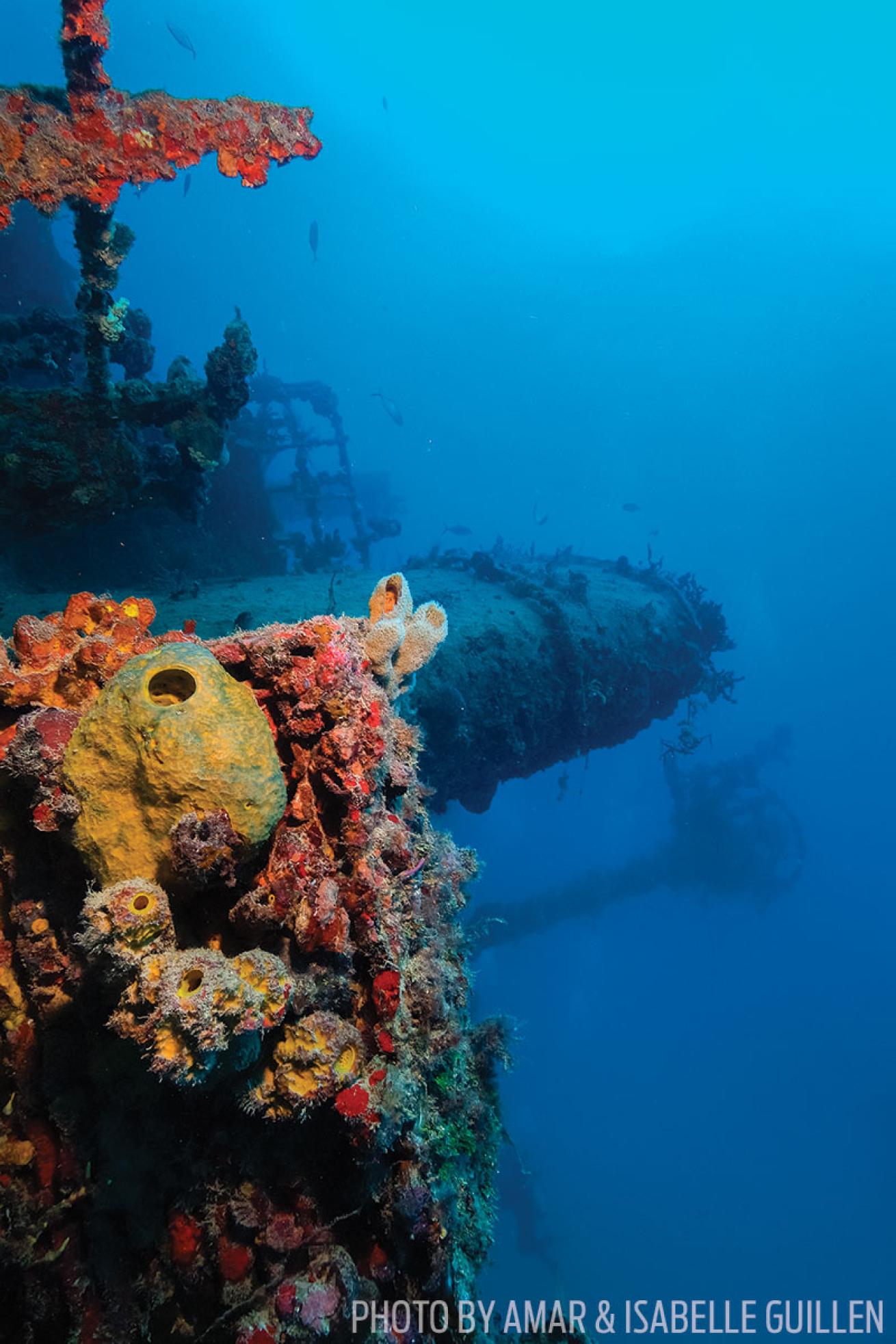 Eagle shipwreck Florida Keys scuba diving