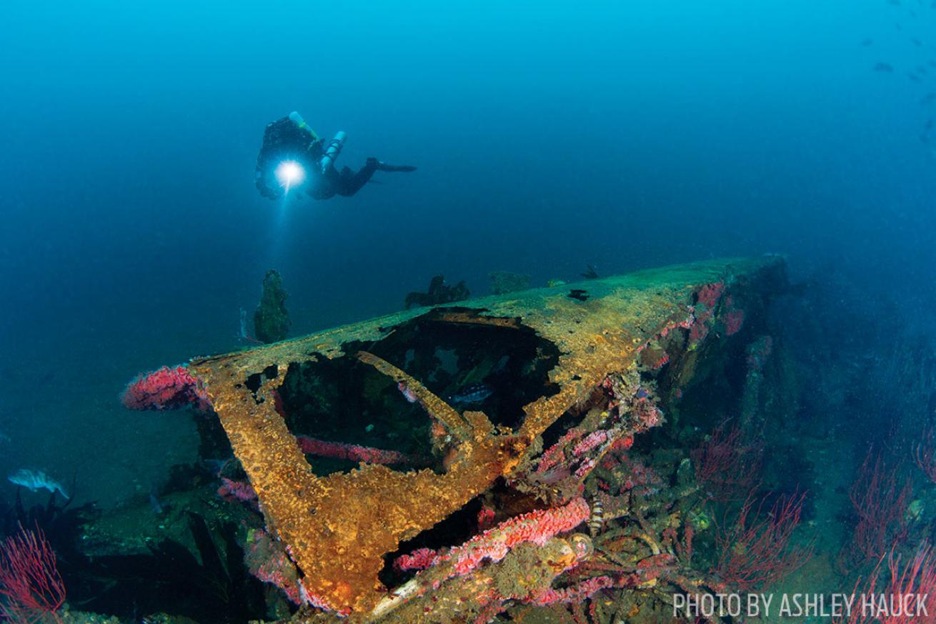 USS Hogan scuba diving shipwreck California