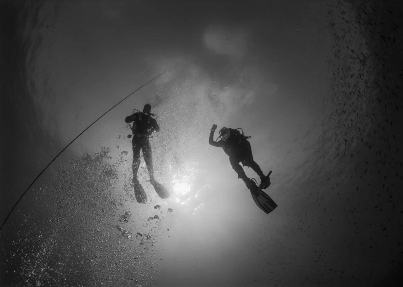 Scuba Divers Underwater Black and White Photo