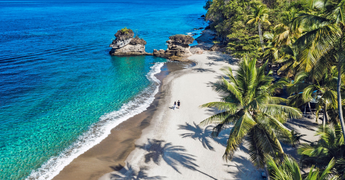 A beach with palm trees and blue water