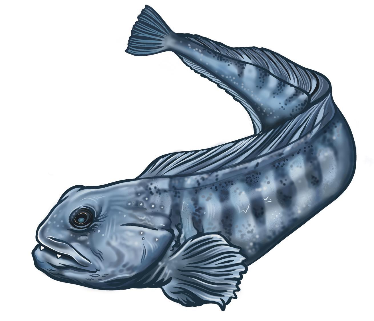 illustration of a