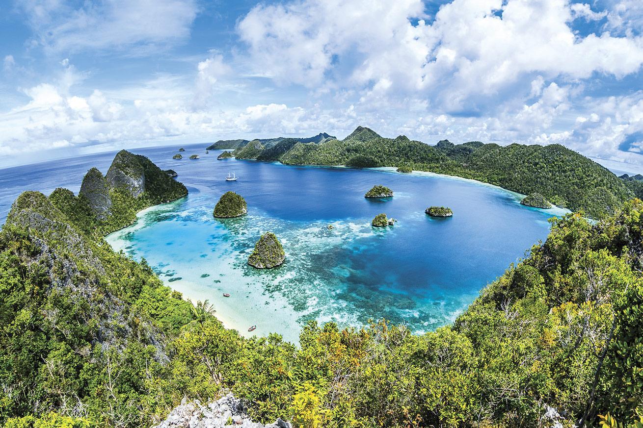 beautiful aerial image of crystal blue water and lush forest in Raja Ampat