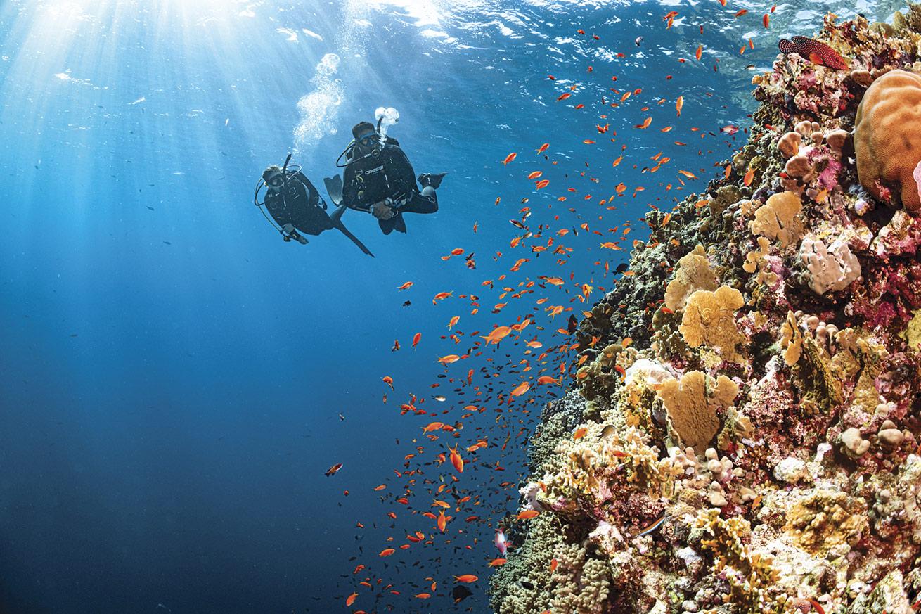 According to the study, divers are willing to pay more for the privilege of visiting protected areas.
