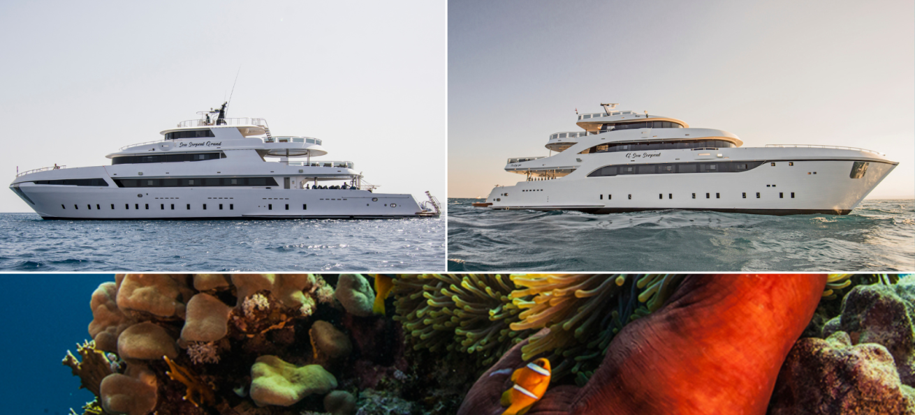 A collage of a boat in the water