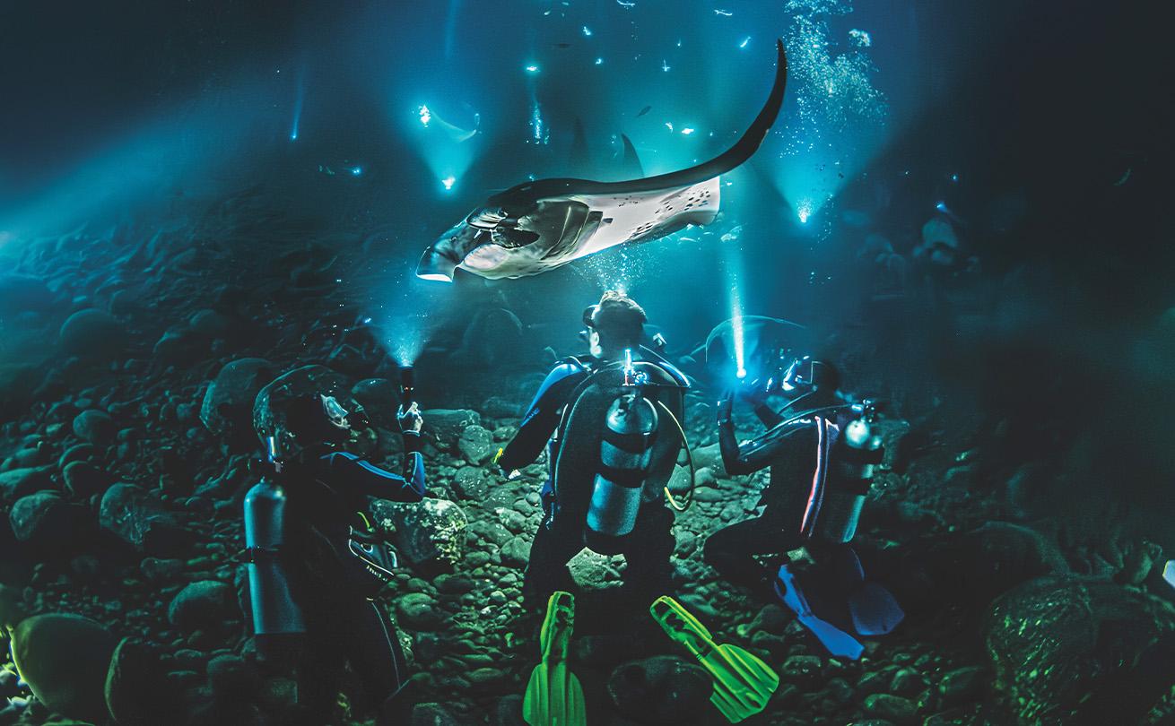 Divers gather around in a circle with strong lights, similar to a campfire setting, to attract manta rays.
